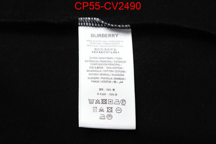 Clothing-Burberry the highest quality fake ID: CV2490 $: 55USD