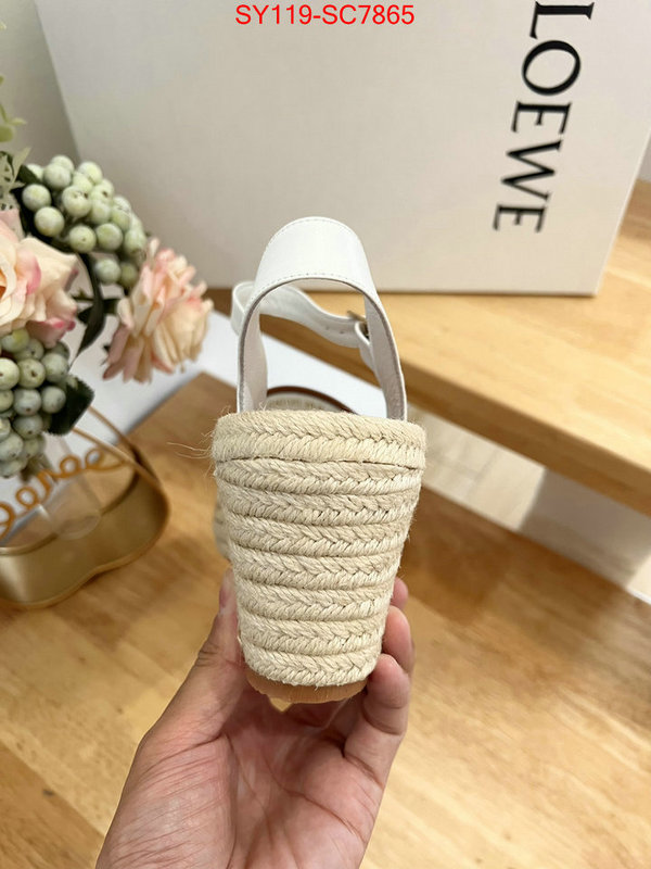 Women Shoes-Loewe fake high quality ID: SC7865 $: 119USD