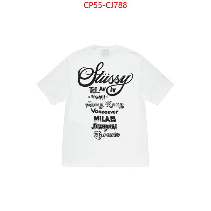 Clothing-Stussy cheap ID: CJ788 $: 55USD