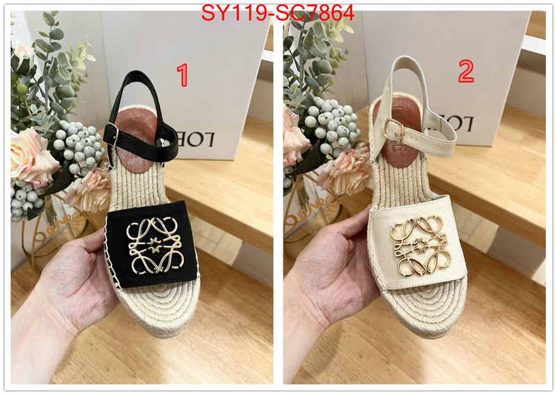 Women Shoes-Loewe wholesale china ID: SC7864 $: 119USD