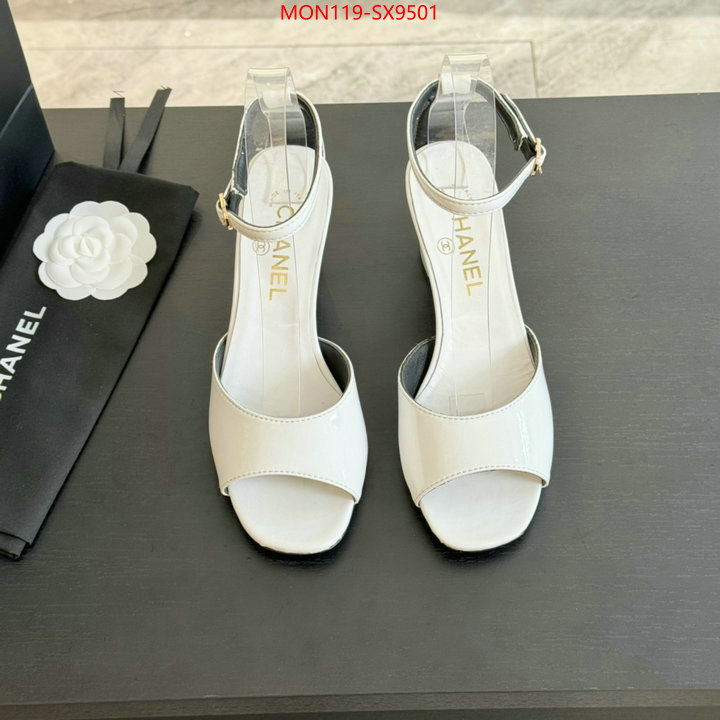 Women Shoes-Chanel where can i buy ID: SX9501 $: 119USD