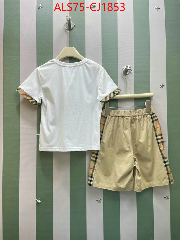 Kids clothing-Burberry from china 2024 ID: CJ1853 $: 75USD