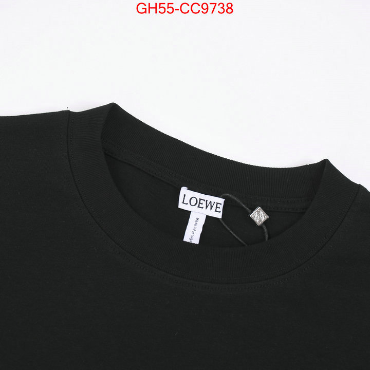 Clothing-Loewe online china ID: CC9738 $: 55USD