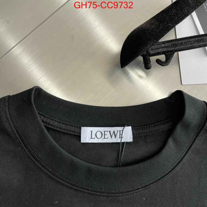 Clothing-Loewe fashion replica ID: CC9732 $: 75USD