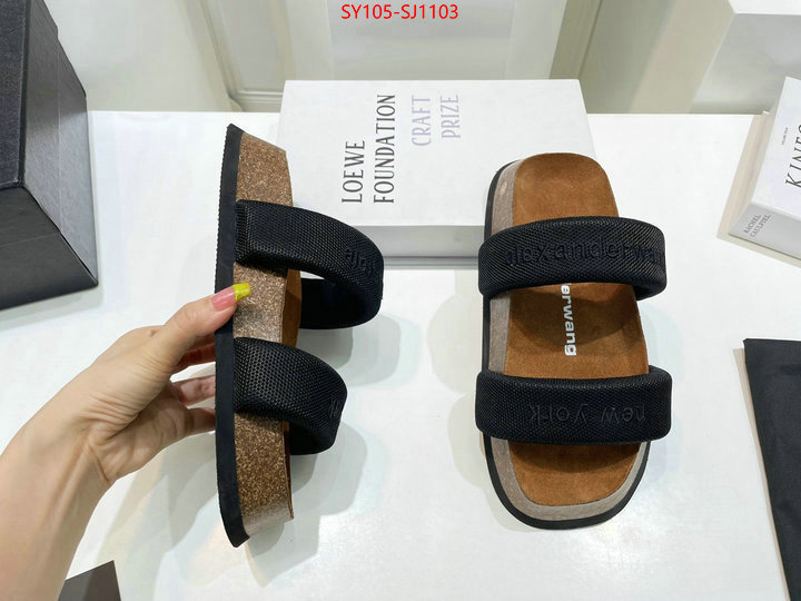 Women Shoes-Alexander Wang 7 star quality designer replica ID: SJ1103 $: 105USD