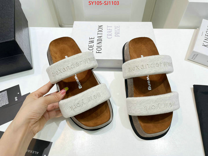 Women Shoes-Alexander Wang 7 star quality designer replica ID: SJ1103 $: 105USD