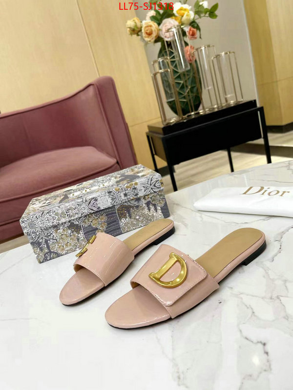 Women Shoes-Dior knockoff ID: SJ1318 $: 75USD