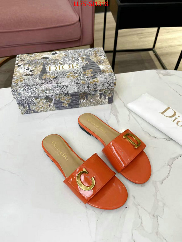 Women Shoes-Dior knockoff ID: SJ1318 $: 75USD