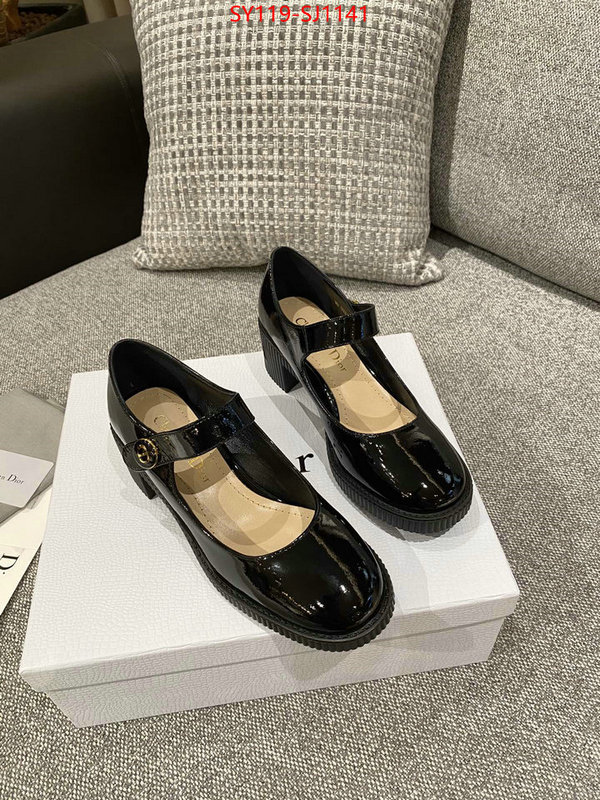 Women Shoes-Dior highest quality replica ID: SJ1141 $: 119USD