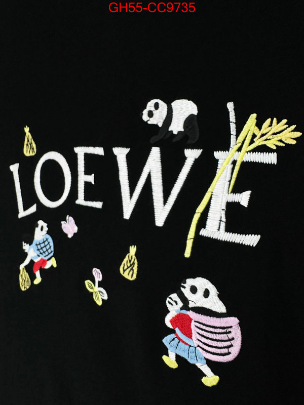 Clothing-Loewe wholesale sale ID: CC9735 $: 55USD