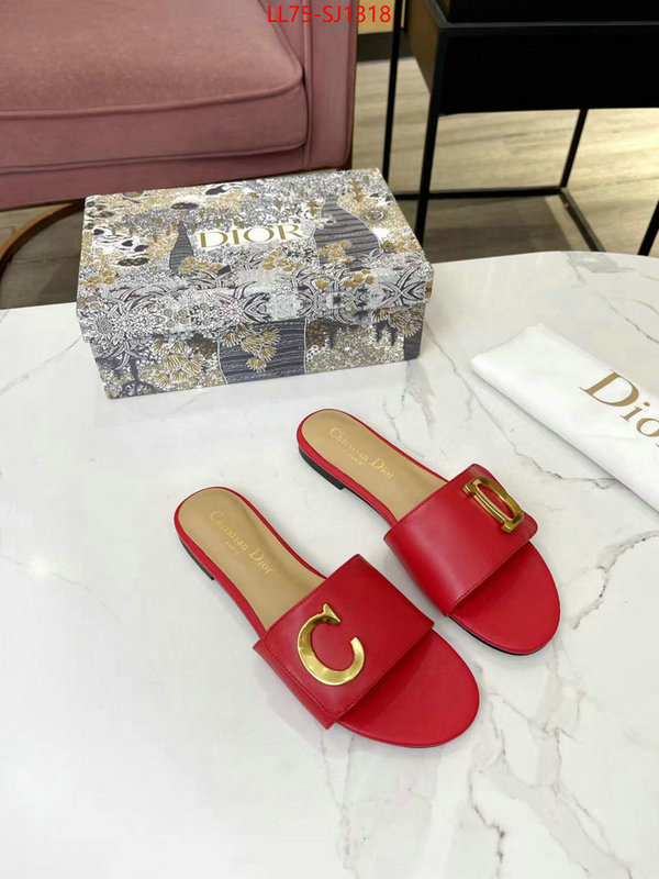 Women Shoes-Dior knockoff ID: SJ1318 $: 75USD