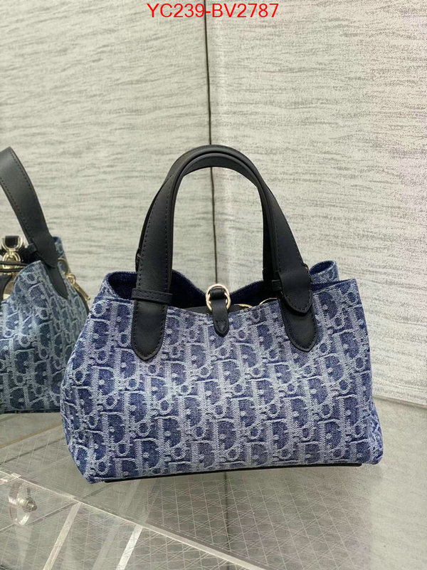 Dior Bags(TOP)-Other Style- sell online ID: BV2787