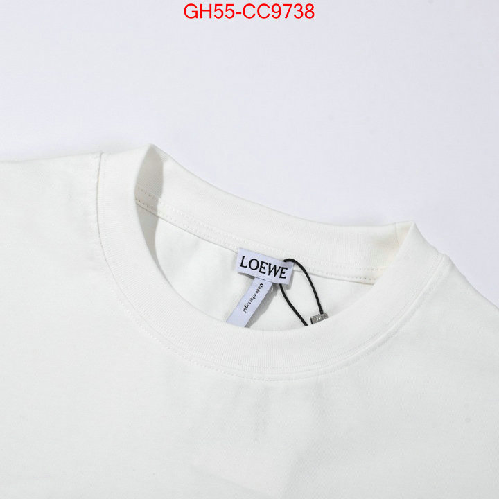 Clothing-Loewe online china ID: CC9738 $: 55USD