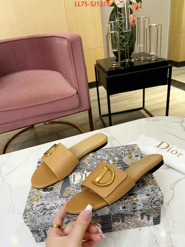 Women Shoes-Dior knockoff ID: SJ1318 $: 75USD