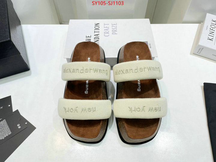 Women Shoes-Alexander Wang 7 star quality designer replica ID: SJ1103 $: 105USD