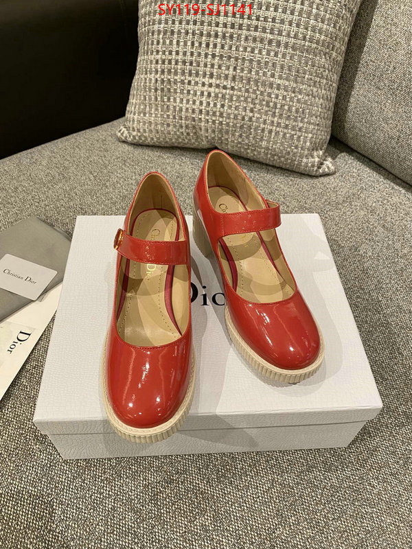 Women Shoes-Dior highest quality replica ID: SJ1141 $: 119USD