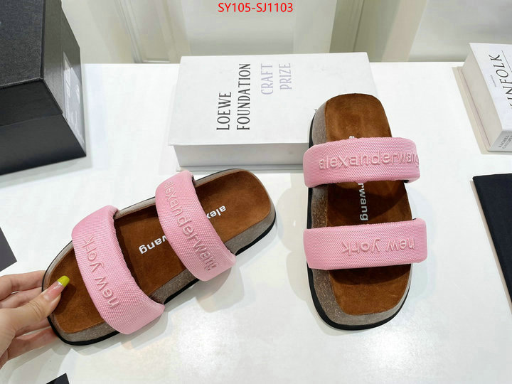 Women Shoes-Alexander Wang 7 star quality designer replica ID: SJ1103 $: 105USD