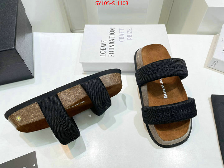 Women Shoes-Alexander Wang 7 star quality designer replica ID: SJ1103 $: 105USD