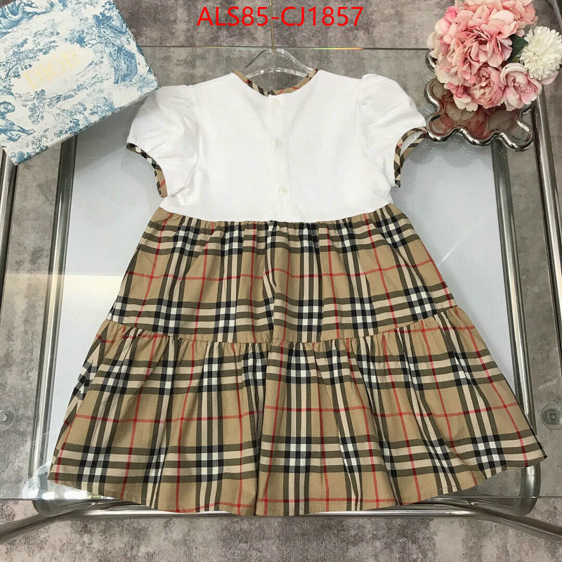 Kids clothing-Burberry sell online luxury designer ID: CJ1857 $: 85USD