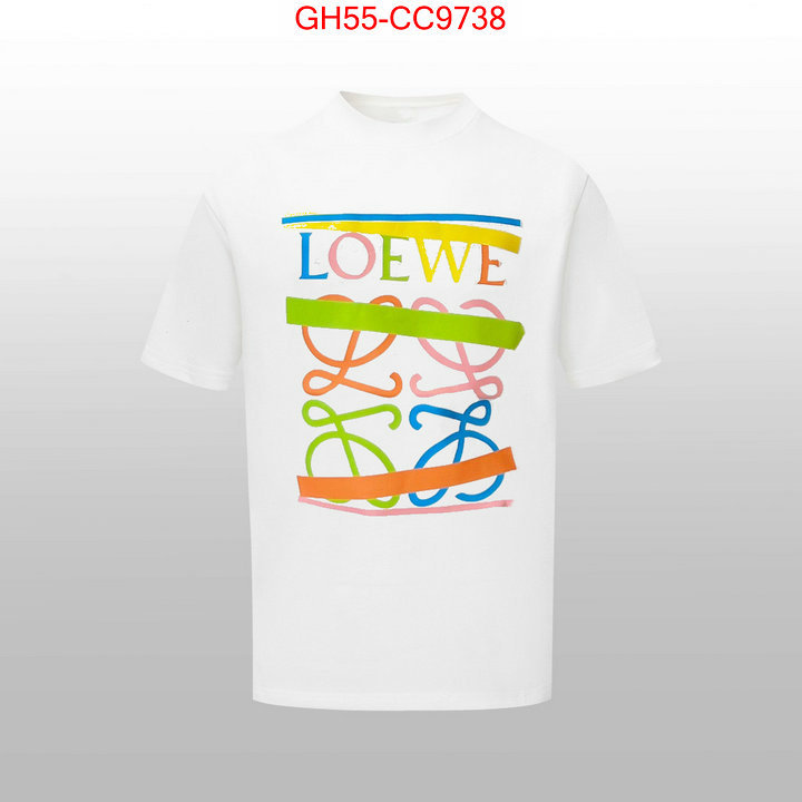 Clothing-Loewe online china ID: CC9738 $: 55USD