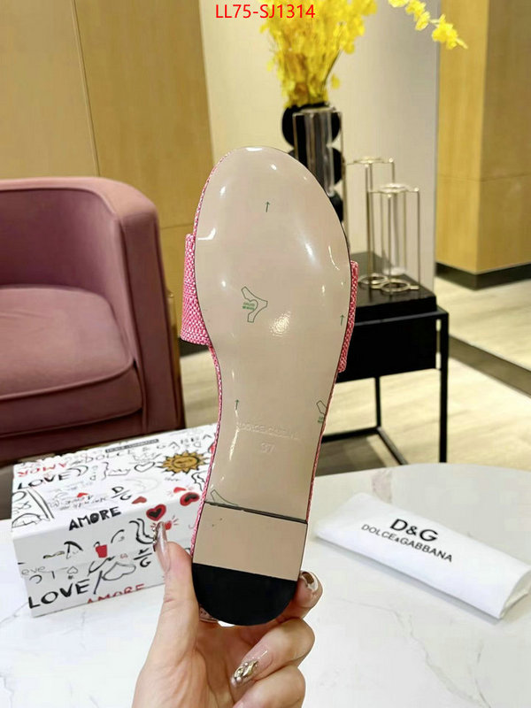 Women Shoes-DG best luxury replica ID: SJ1314 $: 75USD