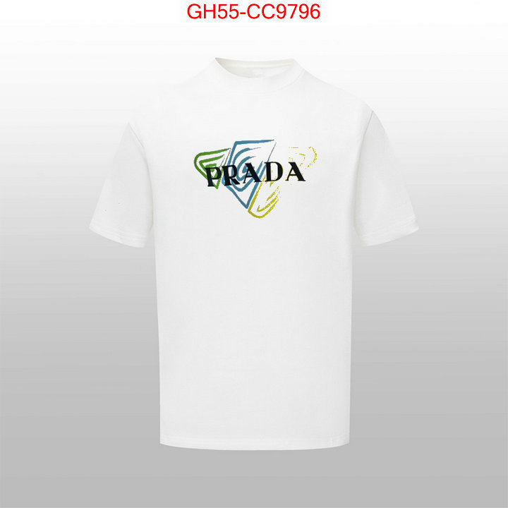 Clothing-Prada the best quality replica ID: CC9796 $: 55USD