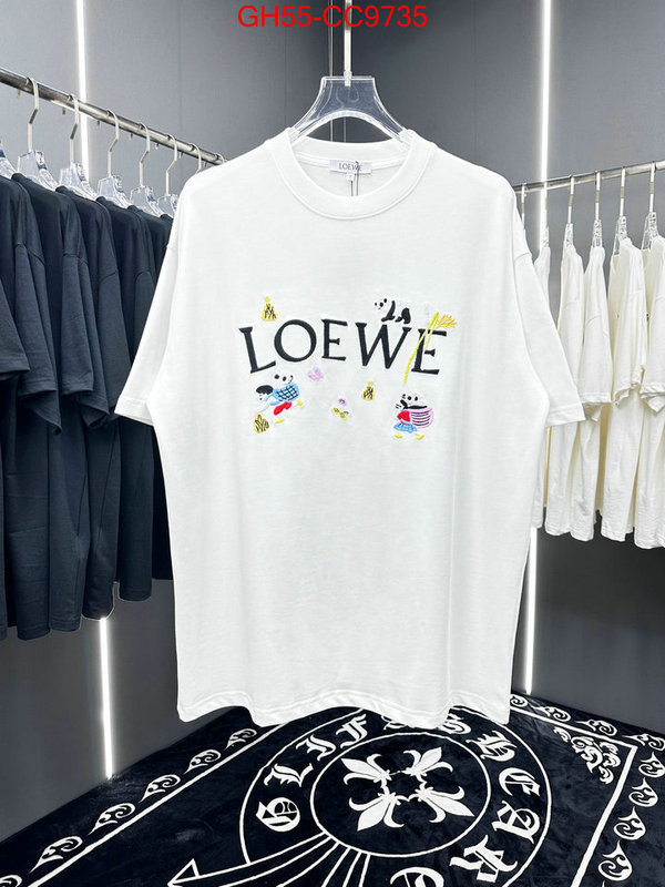 Clothing-Loewe wholesale sale ID: CC9735 $: 55USD