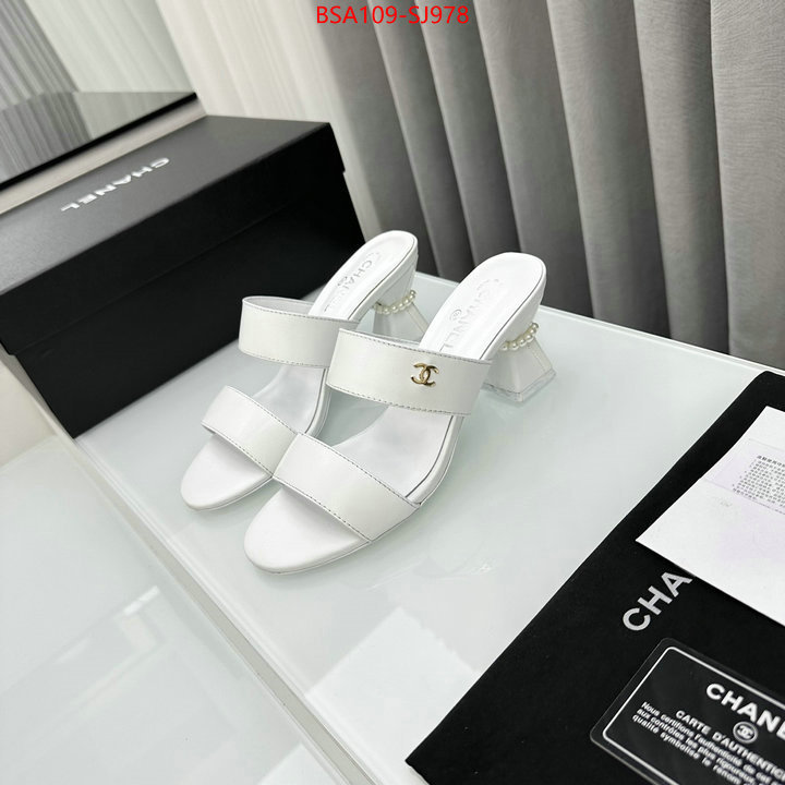 Women Shoes-Chanel luxury shop ID: SJ978 $: 109USD