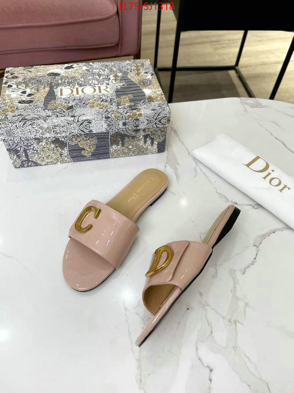 Women Shoes-Dior knockoff ID: SJ1318 $: 75USD