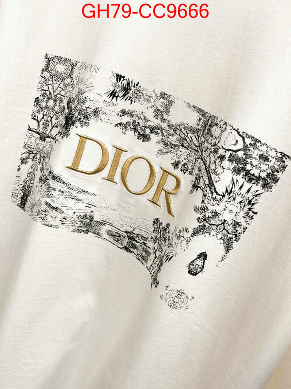 Clothing-Dior brand designer replica ID: CC9666 $: 79USD