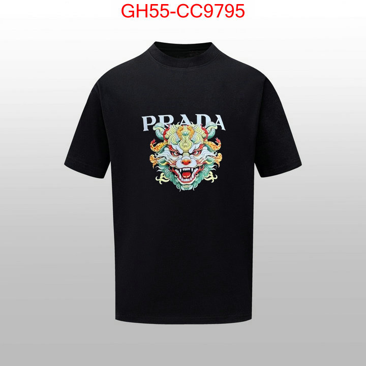 Clothing-Prada designer 7 star replica ID: CC9795 $: 55USD