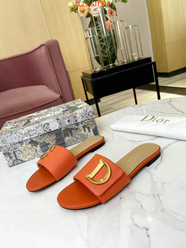 Women Shoes-Dior knockoff ID: SJ1318 $: 75USD