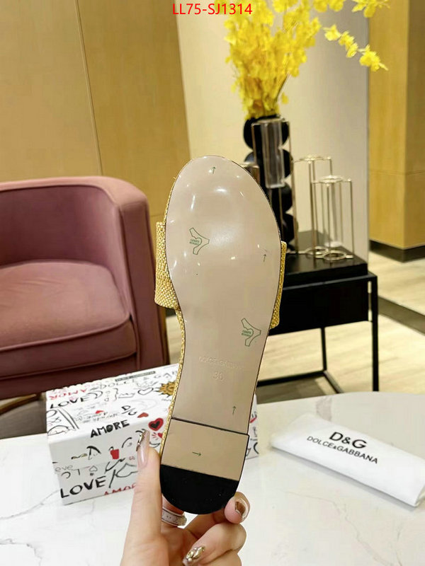 Women Shoes-DG best luxury replica ID: SJ1314 $: 75USD