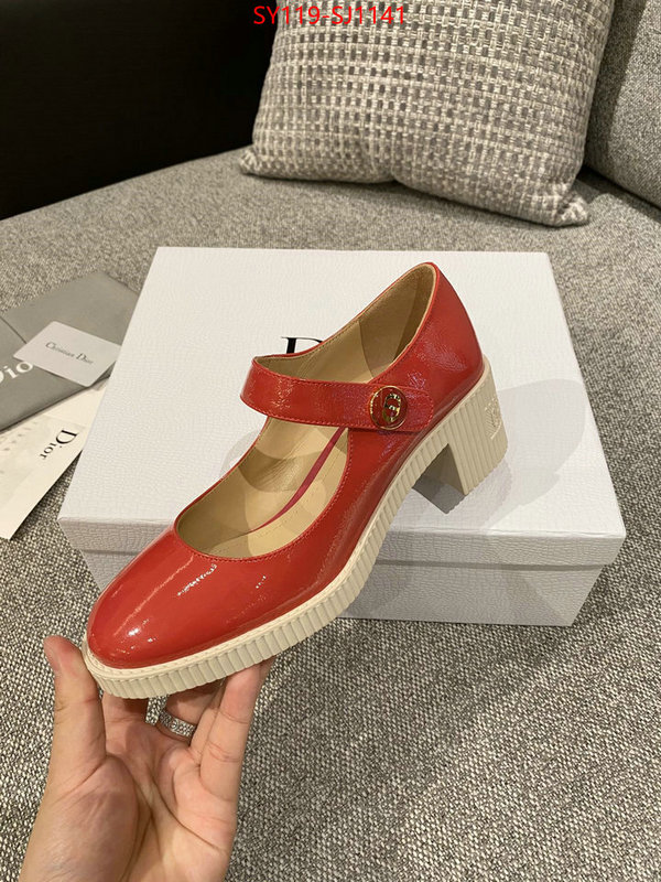 Women Shoes-Dior highest quality replica ID: SJ1141 $: 119USD