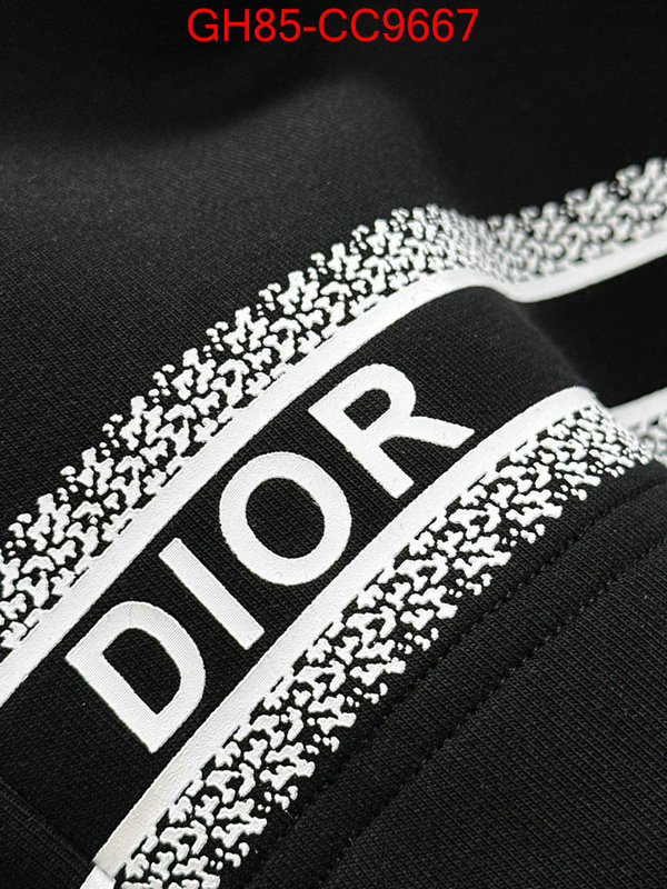 Clothing-Dior top perfect fake ID: CC9667 $: 85USD