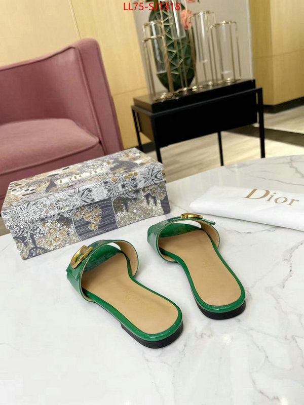 Women Shoes-Dior knockoff ID: SJ1318 $: 75USD