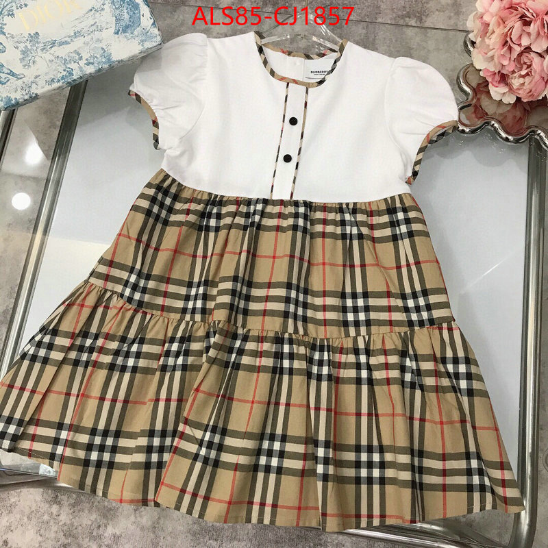 Kids clothing-Burberry sell online luxury designer ID: CJ1857 $: 85USD