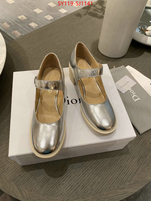 Women Shoes-Dior highest quality replica ID: SJ1141 $: 119USD