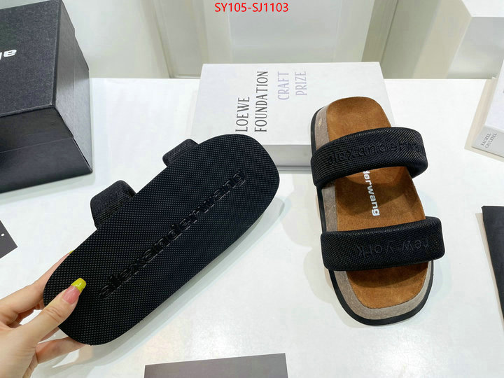 Women Shoes-Alexander Wang 7 star quality designer replica ID: SJ1103 $: 105USD