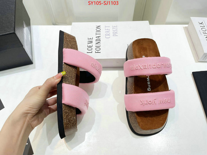 Women Shoes-Alexander Wang 7 star quality designer replica ID: SJ1103 $: 105USD