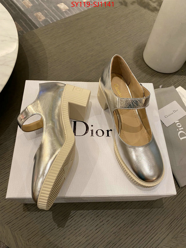 Women Shoes-Dior highest quality replica ID: SJ1141 $: 119USD