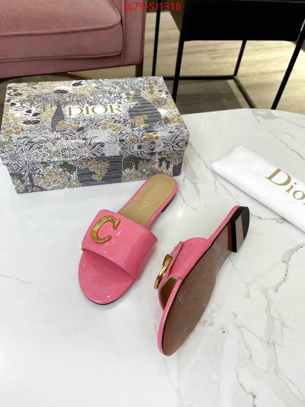 Women Shoes-Dior knockoff ID: SJ1318 $: 75USD