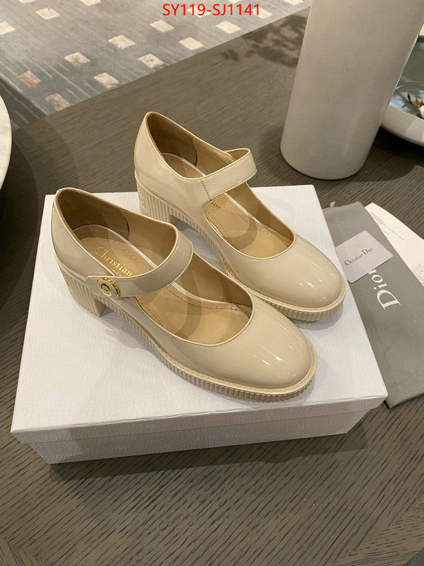 Women Shoes-Dior highest quality replica ID: SJ1141 $: 119USD