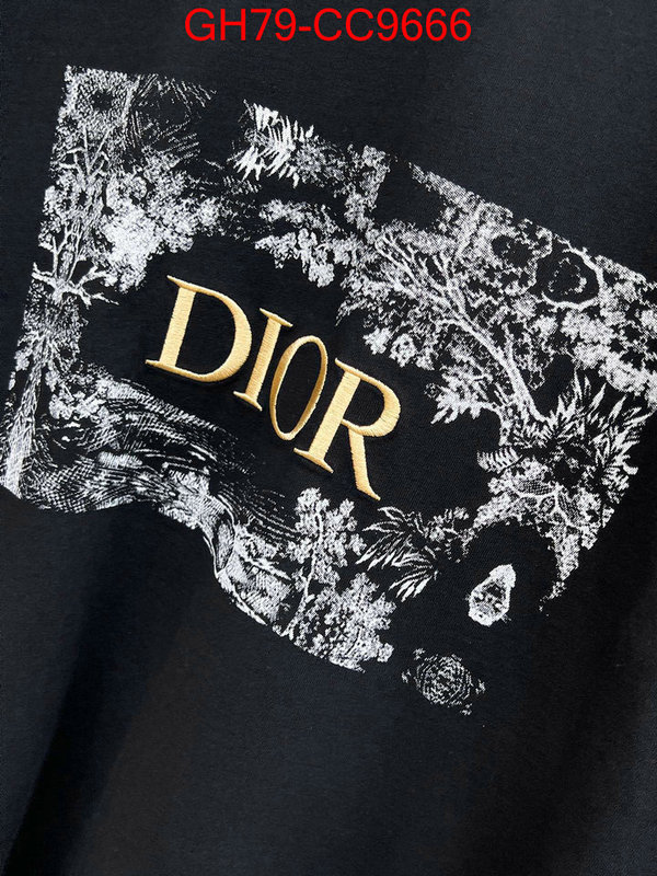 Clothing-Dior brand designer replica ID: CC9666 $: 79USD