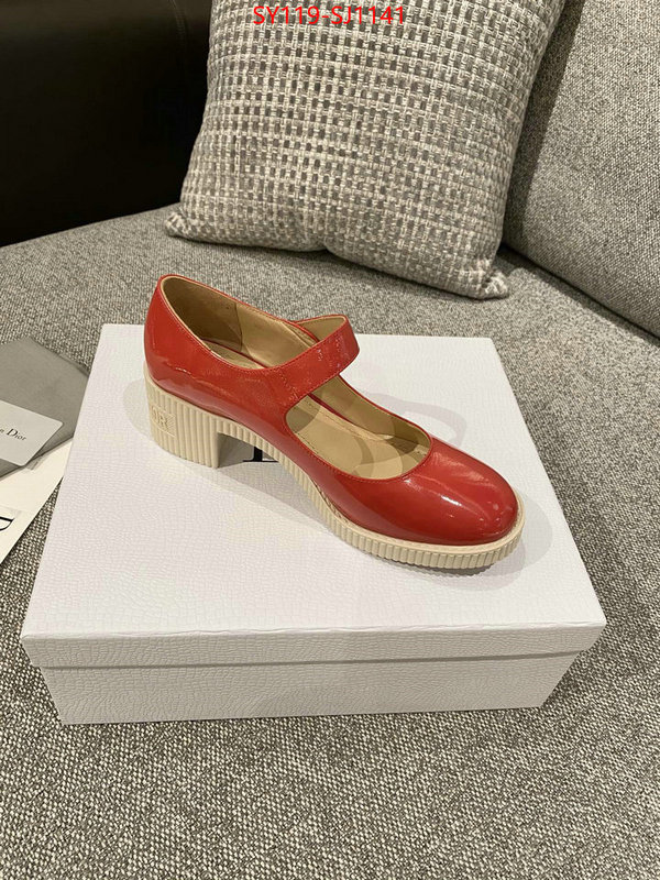 Women Shoes-Dior highest quality replica ID: SJ1141 $: 119USD