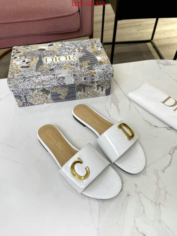 Women Shoes-Dior knockoff ID: SJ1318 $: 75USD