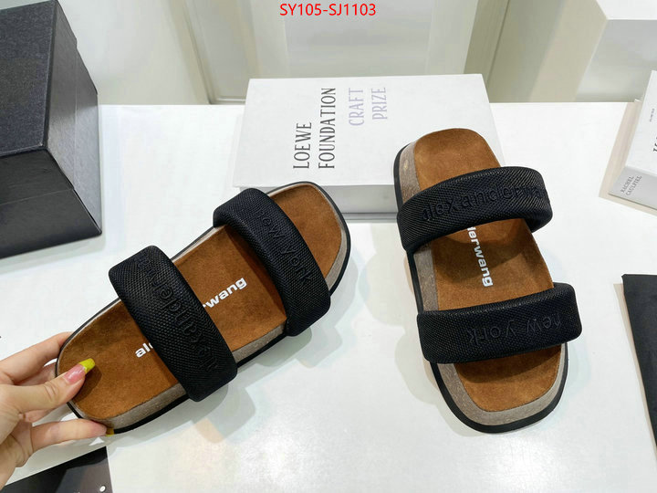 Women Shoes-Alexander Wang 7 star quality designer replica ID: SJ1103 $: 105USD