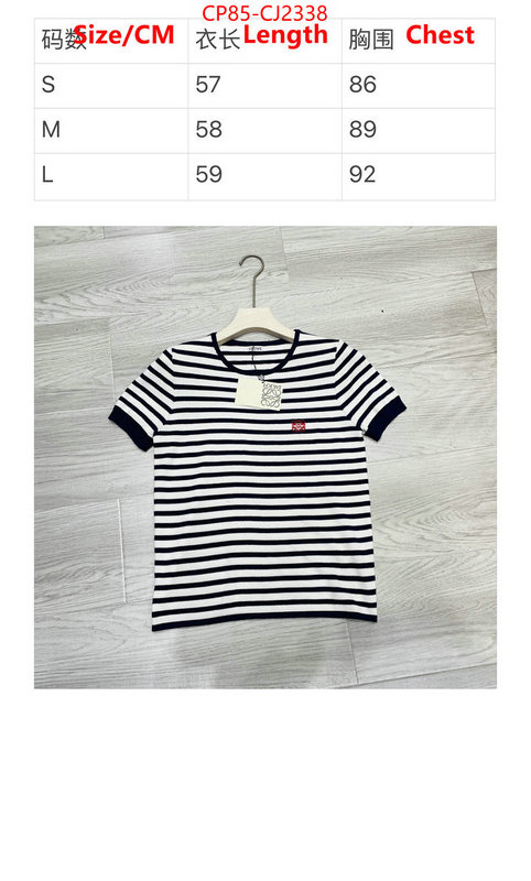 Clothing-Loewe same as original ID: CJ2338 $: 85USD