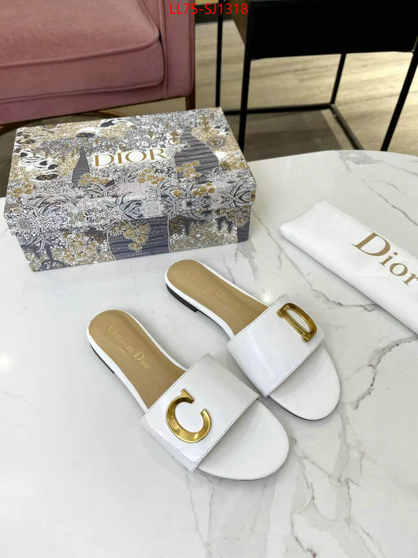 Women Shoes-Dior knockoff ID: SJ1318 $: 75USD