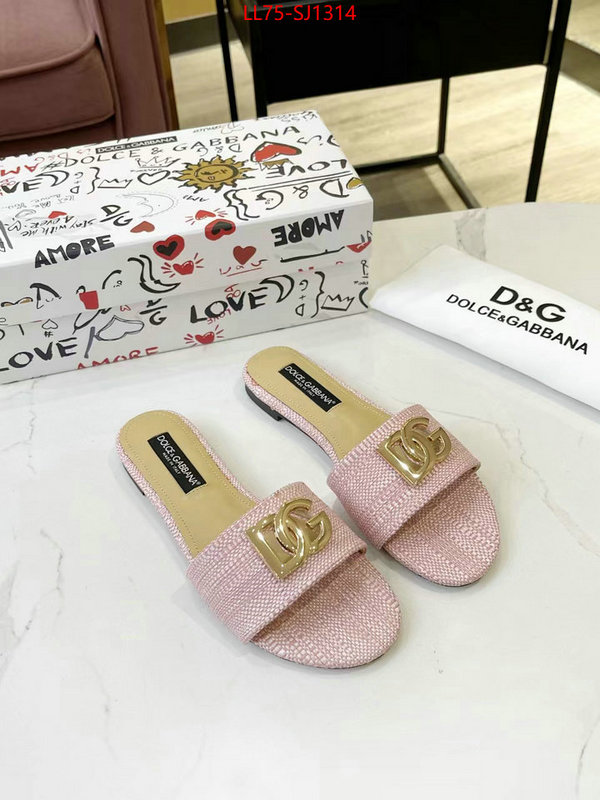 Women Shoes-DG best luxury replica ID: SJ1314 $: 75USD